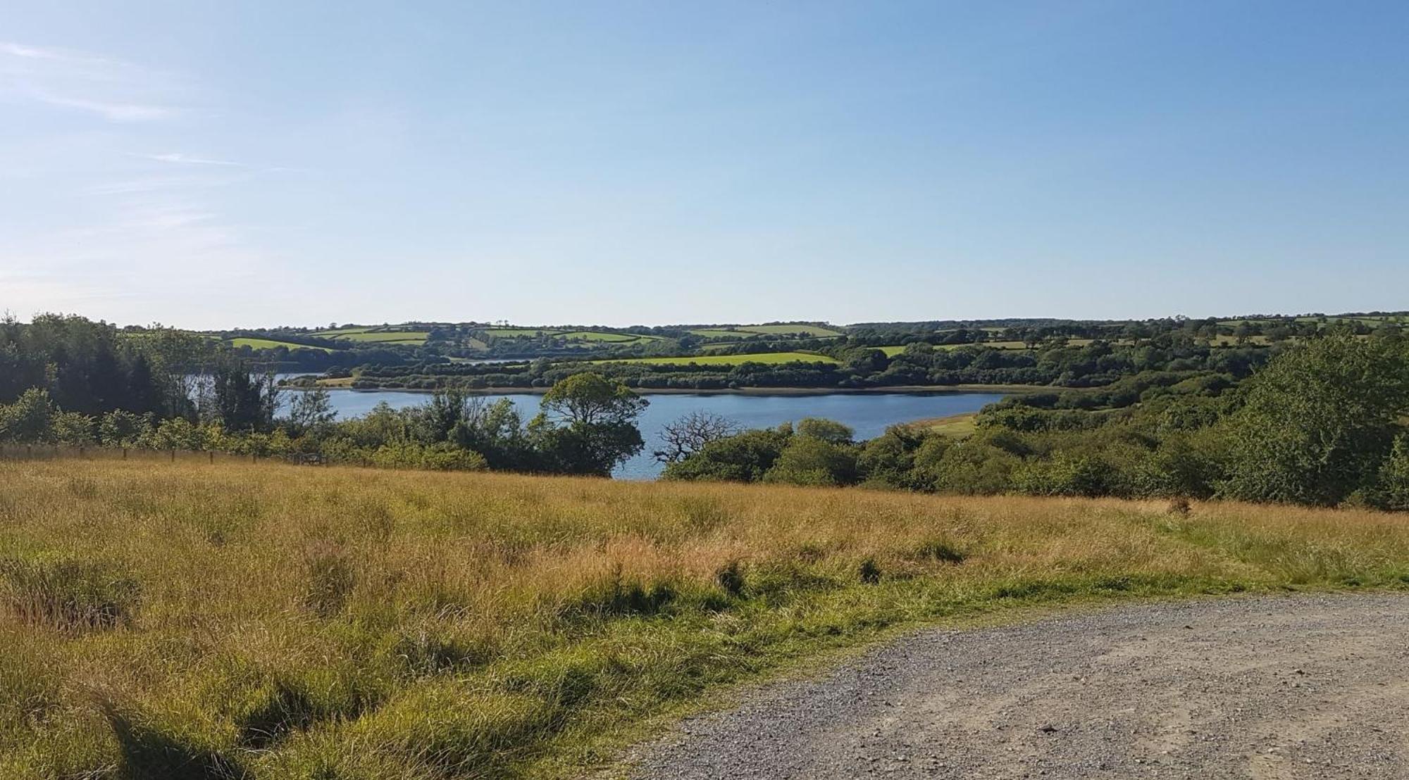 BroadwoodwidgerCouples Retreat In Beautiful West Devon Countryside别墅 外观 照片